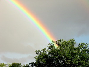 Pic of Rainbow for Jay Ray in picasa